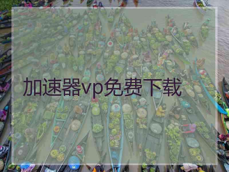 加速器vp免费下载