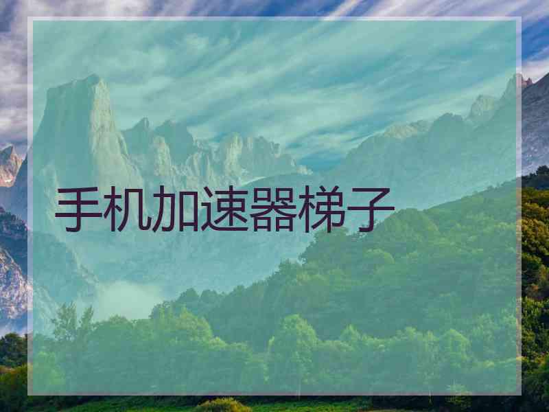 手机加速器梯子