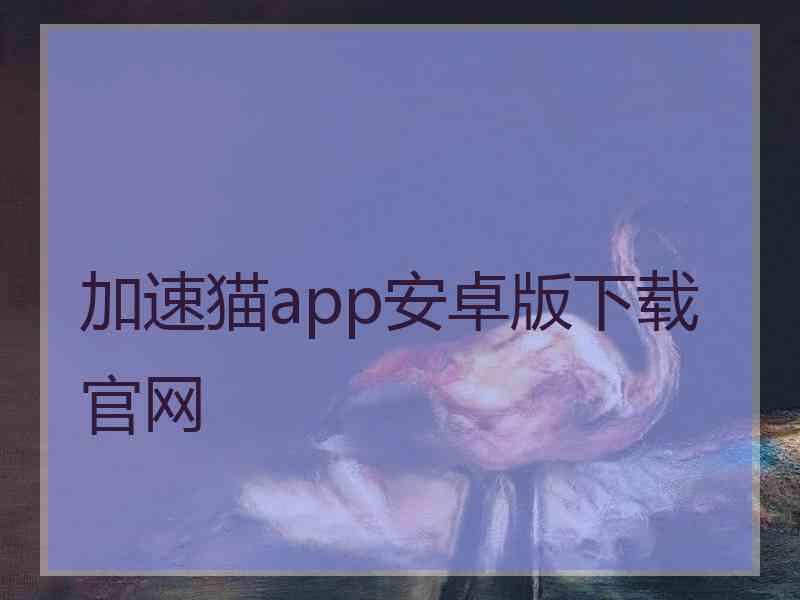 加速猫app安卓版下载官网
