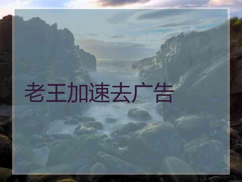老王加速去广告
