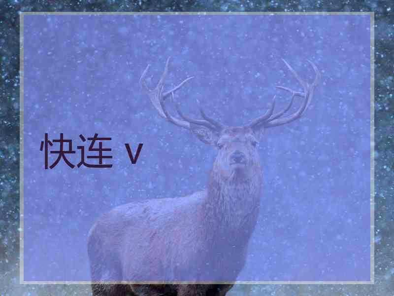快连 v