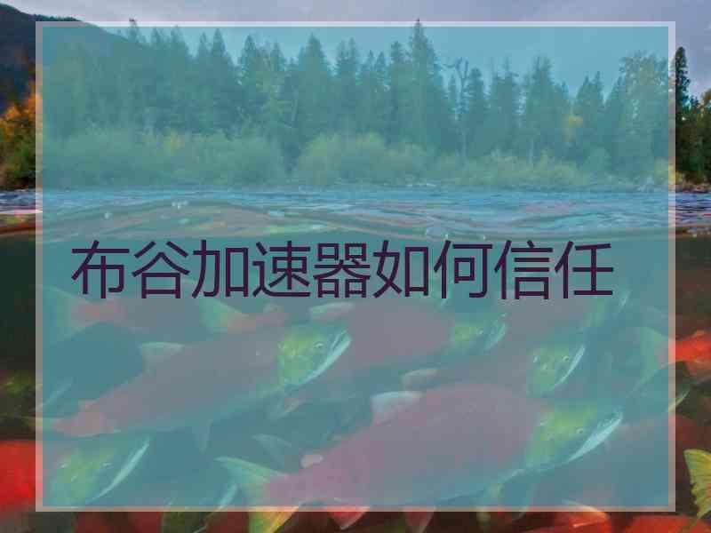 布谷加速器如何信任