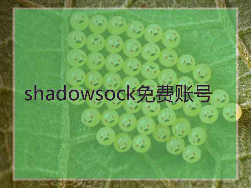 shadowsock免费账号