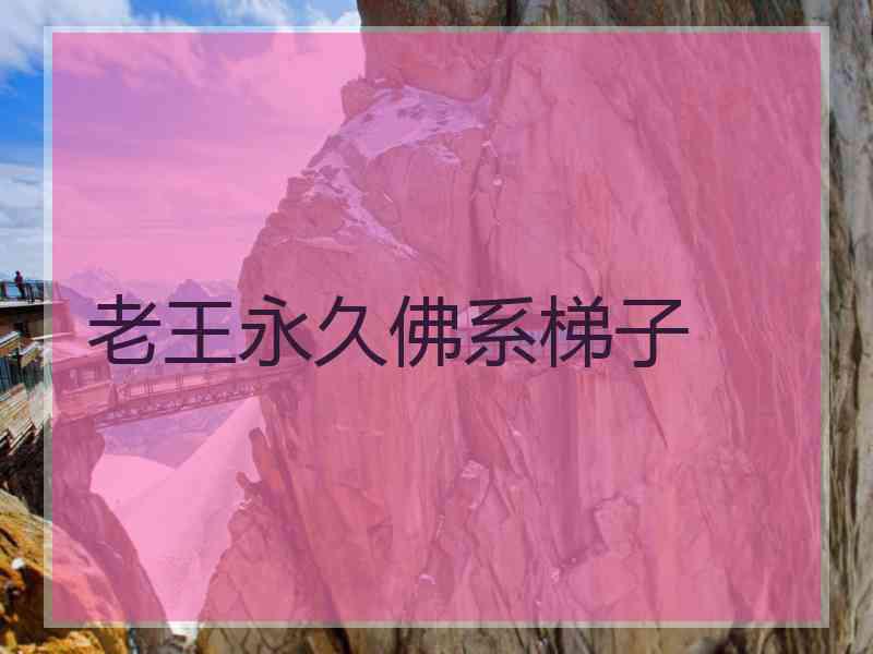 老王永久佛系梯子