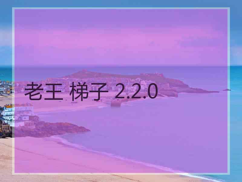 老王 梯子 2.2.0