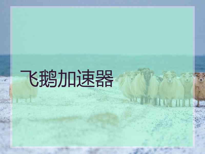 飞鹅加速器