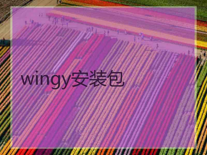 wingy安装包
