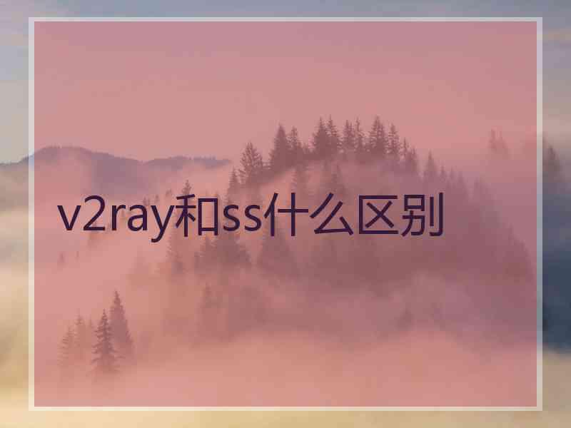 v2ray和ss什么区别