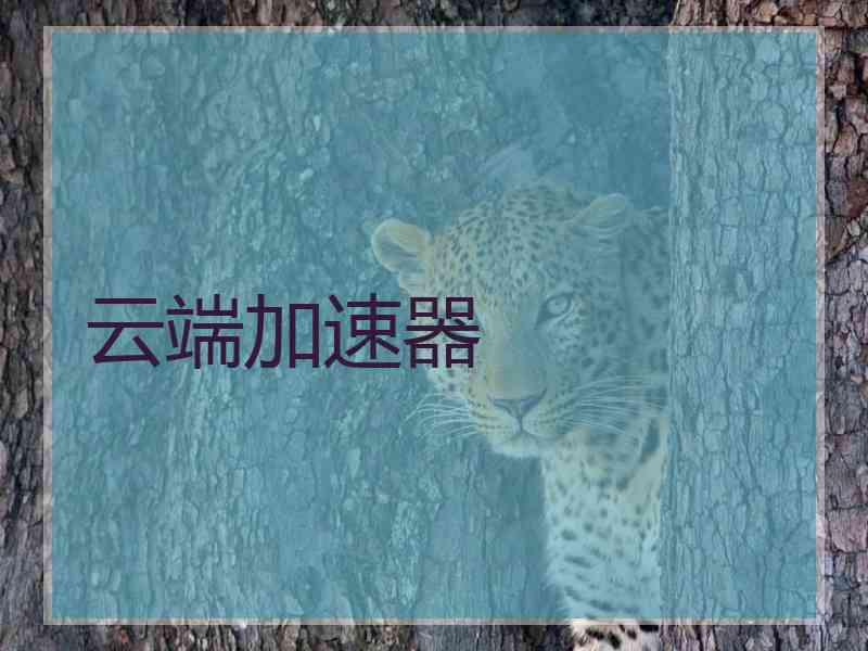 云端加速器