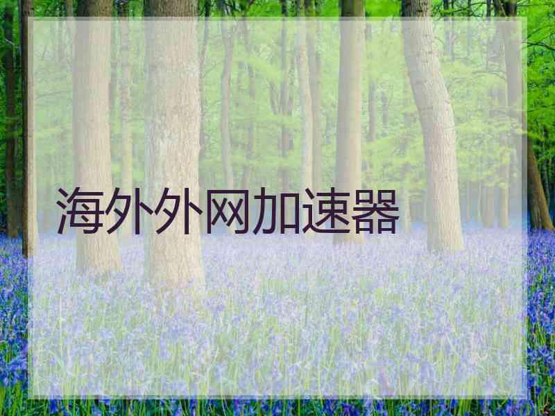 海外外网加速器