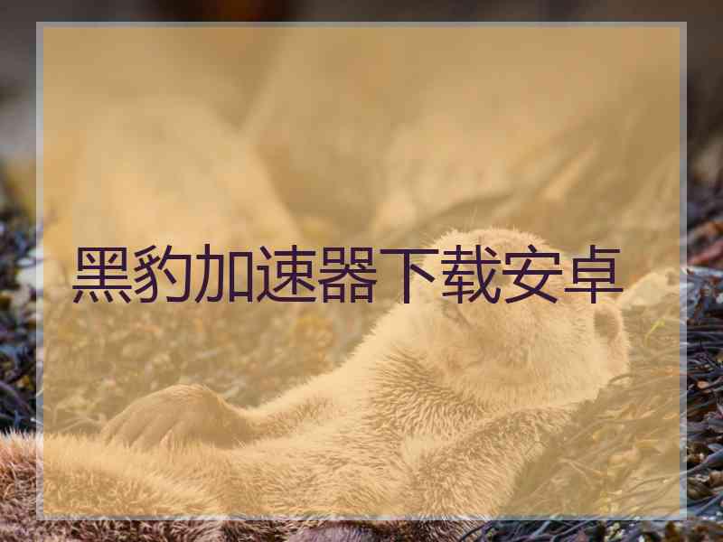 黑豹加速器下载安卓