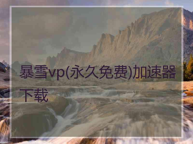 暴雪vp(永久免费)加速器下载