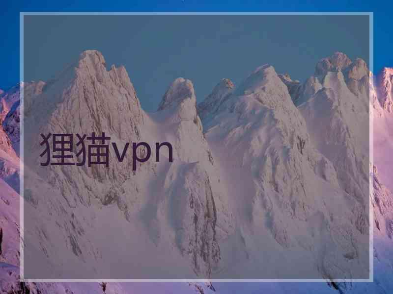狸猫vpn