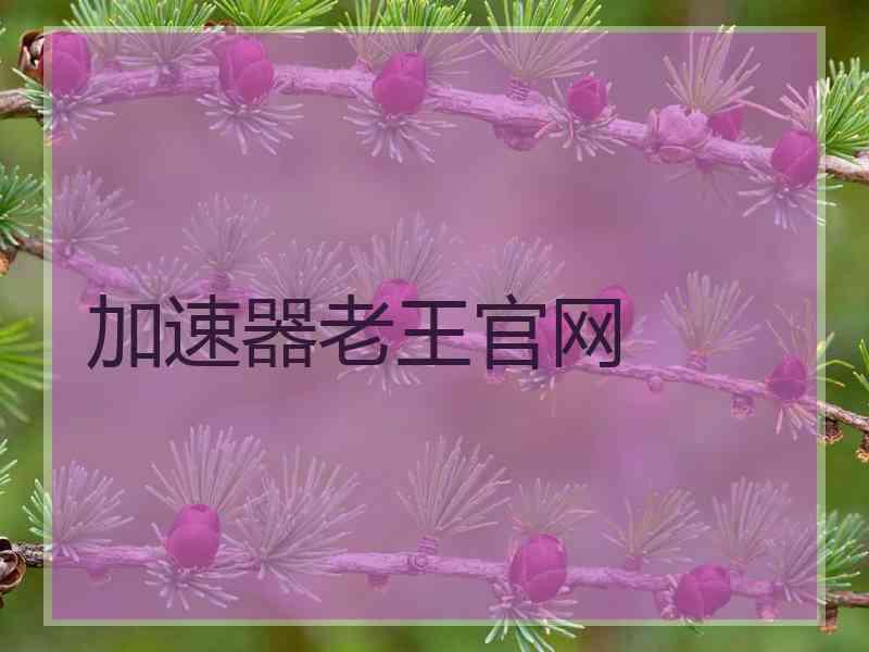加速器老王官网
