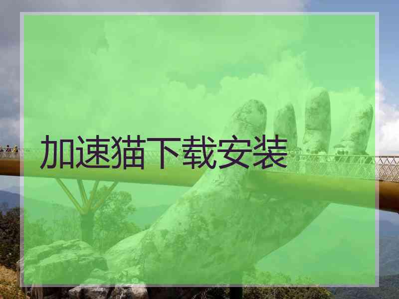 加速猫下载安装