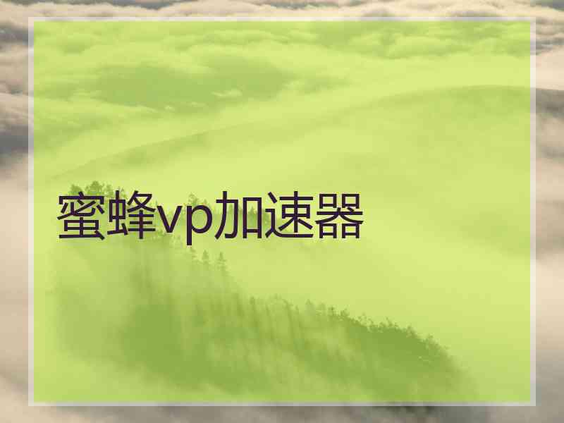 蜜蜂vp加速器