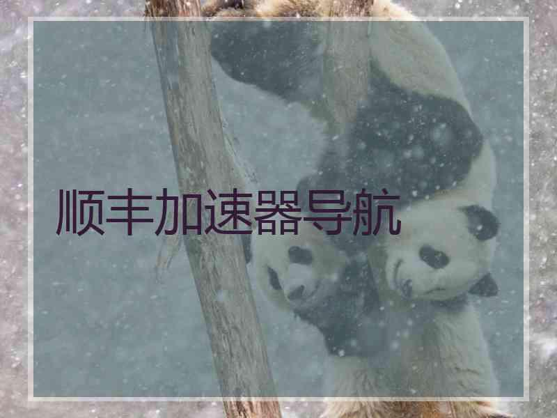 顺丰加速器导航