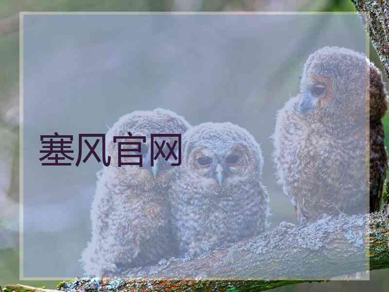 塞风官网