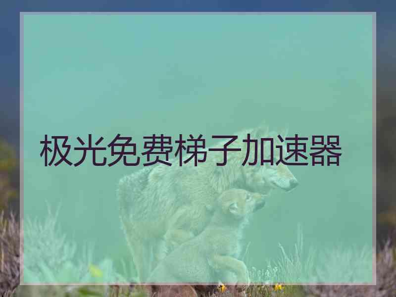 极光免费梯子加速器