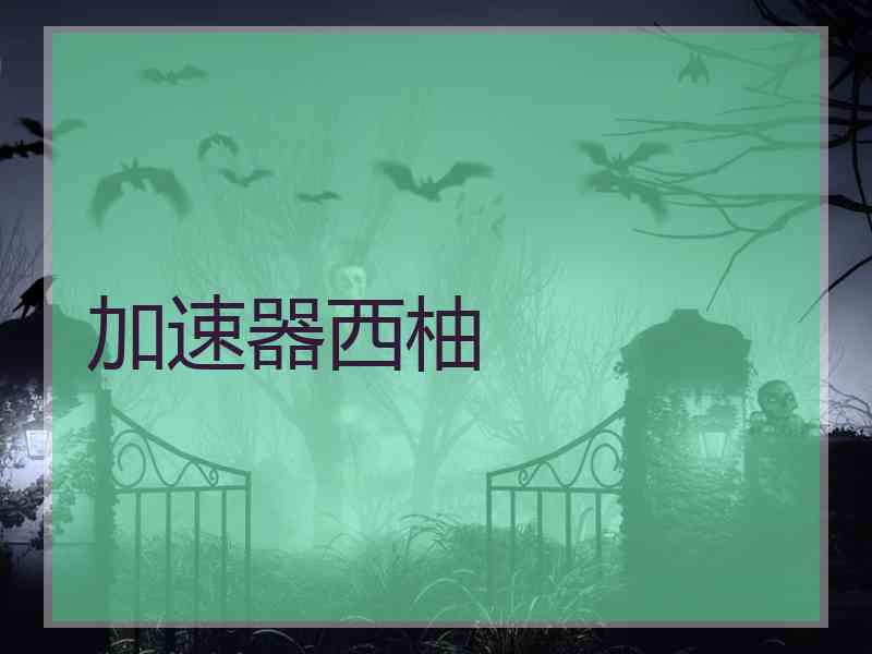 加速器西柚
