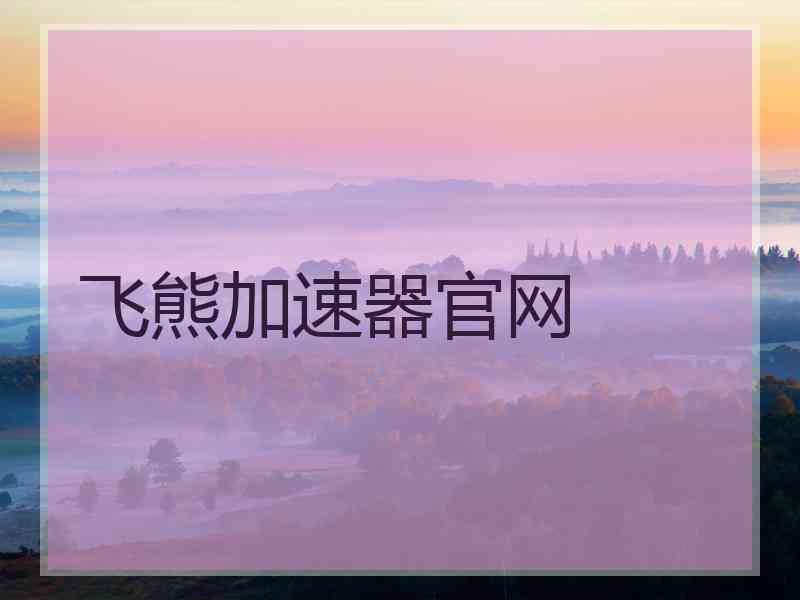 飞熊加速器官网
