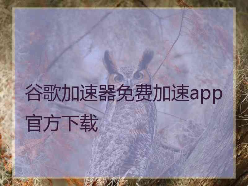 谷歌加速器免费加速app官方下载