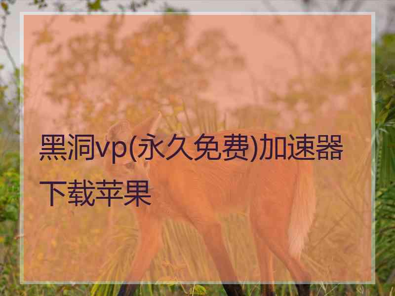 黑洞vp(永久免费)加速器下载苹果