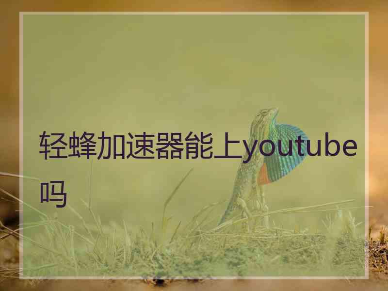 轻蜂加速器能上youtube吗