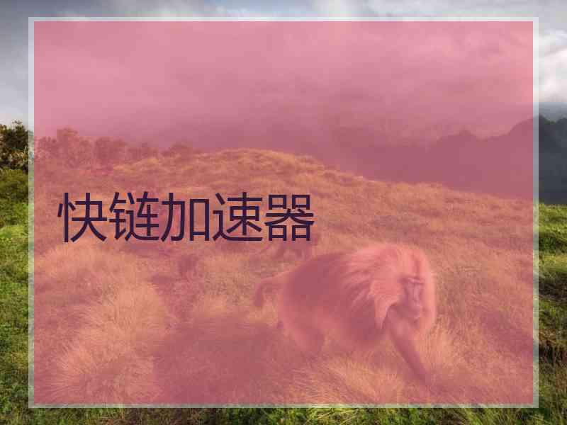 快链加速器