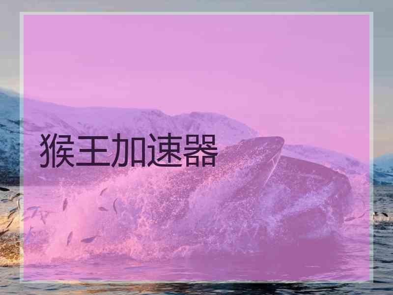 猴王加速器