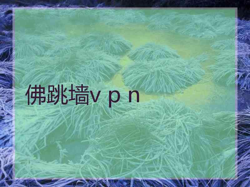 佛跳墙v p n