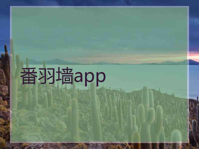 番羽墙app