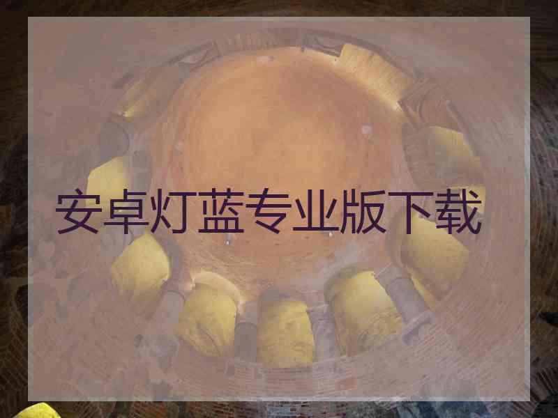 安卓灯蓝专业版下载