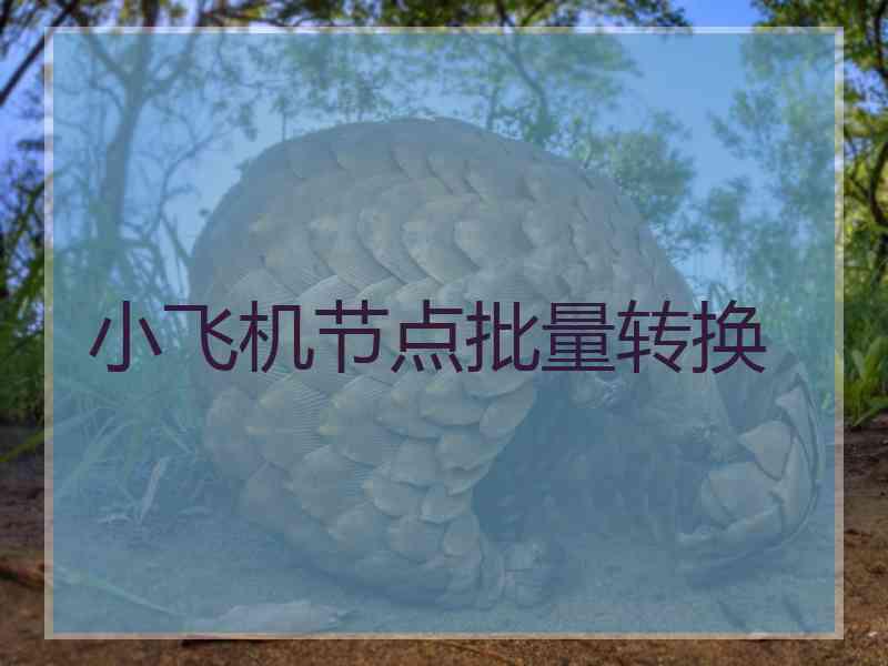 小飞机节点批量转换