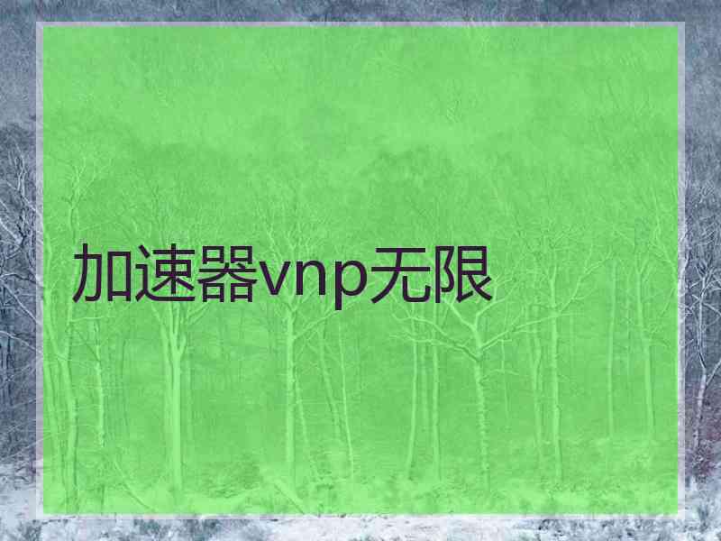 加速器vnp无限