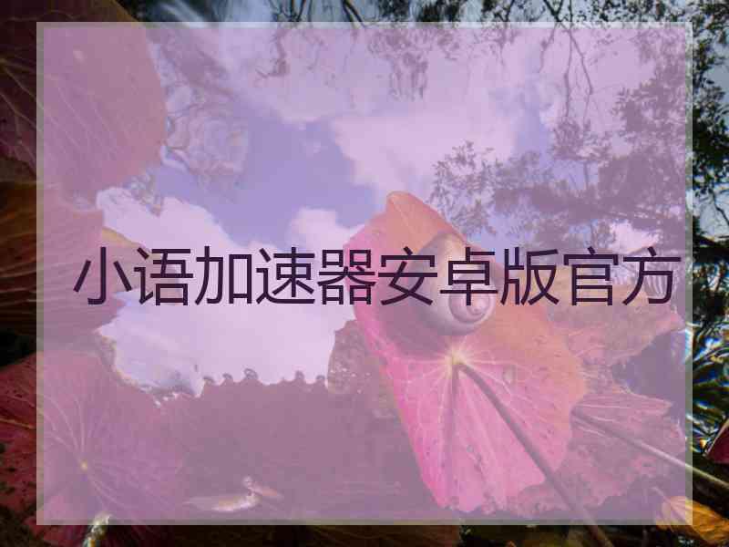 小语加速器安卓版官方