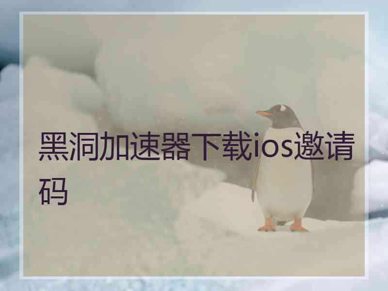 黑洞加速器下载ios邀请码