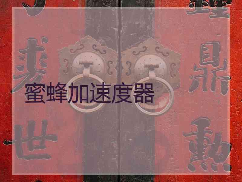 蜜蜂加速度器