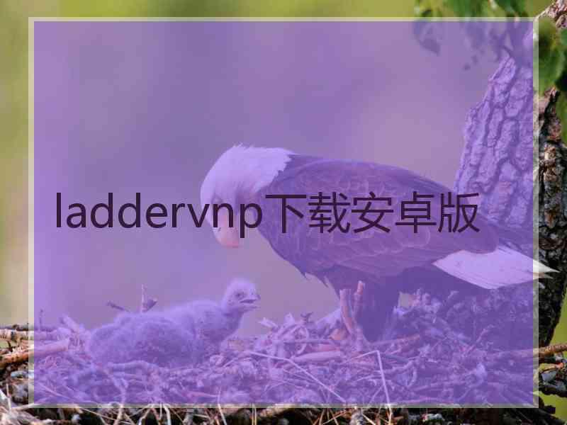 laddervnp下载安卓版