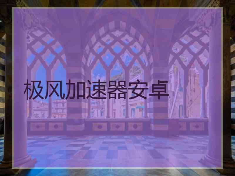 极风加速器安卓