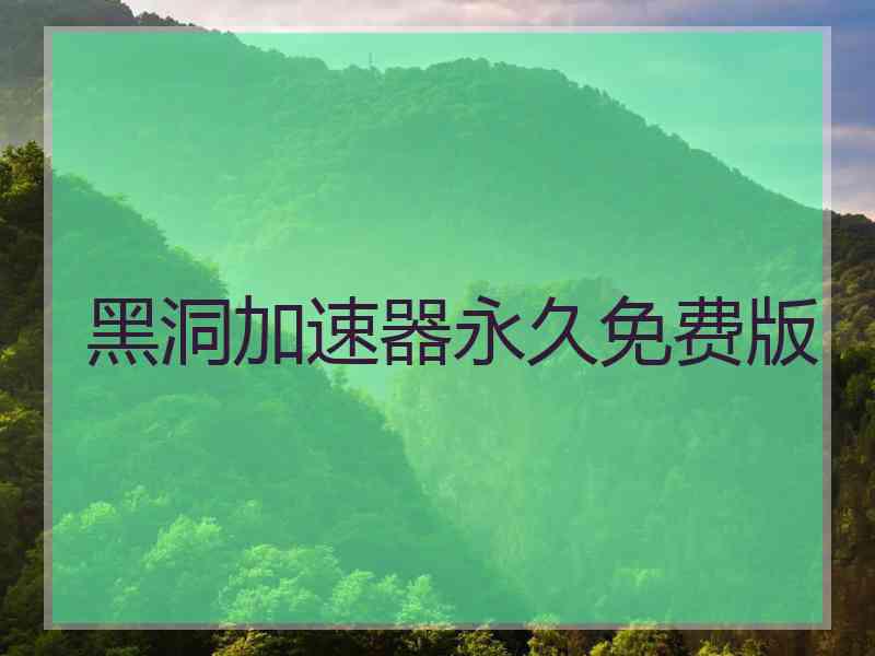 黑洞加速器永久免费版