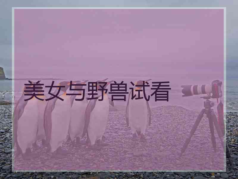 美女与野兽试看