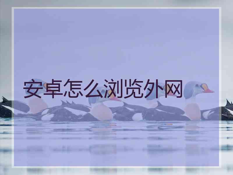 安卓怎么浏览外网