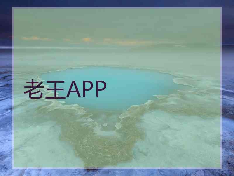 老王APP