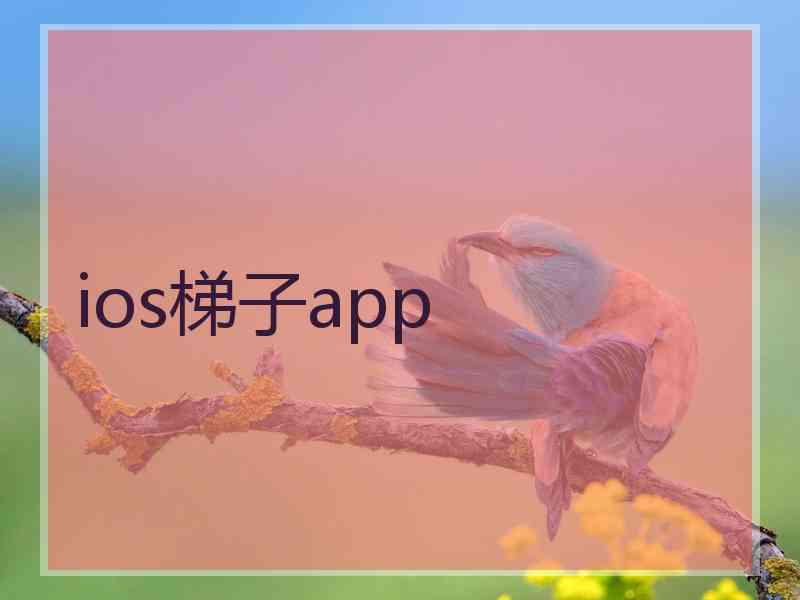 ios梯子app