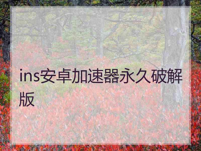 ins安卓加速器永久破解版