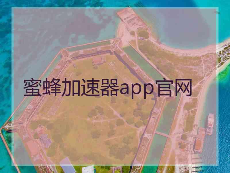 蜜蜂加速器app官网