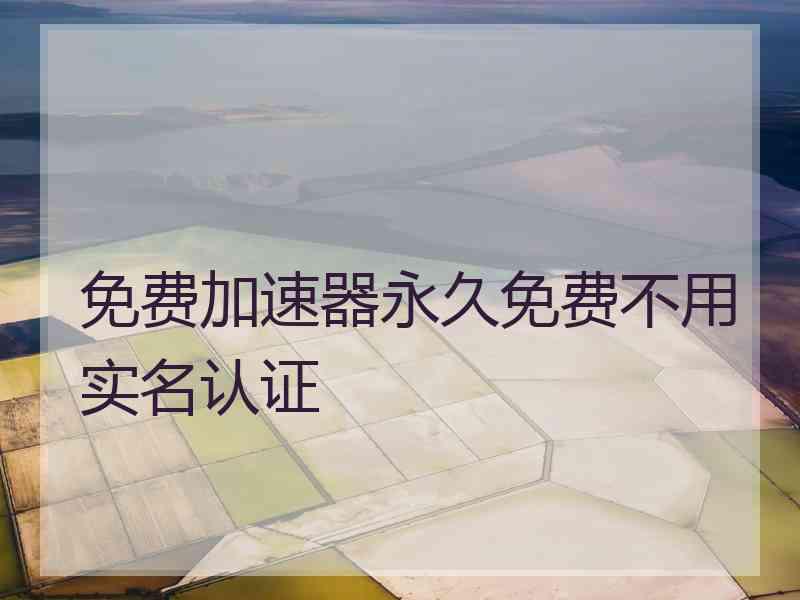 免费加速器永久免费不用实名认证