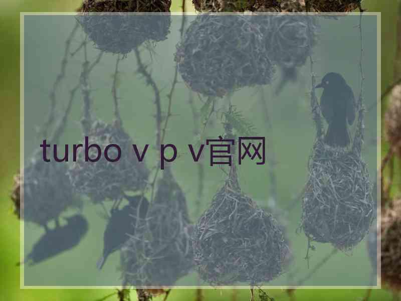turbo v p v官网