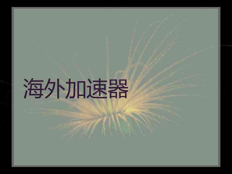 海外加速器
